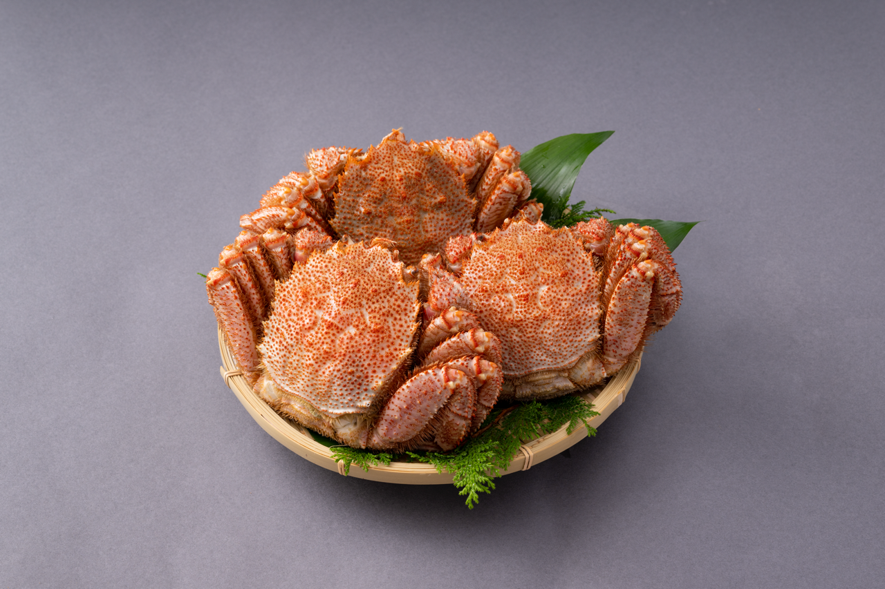 毛蟹 400~500g（北海道産）